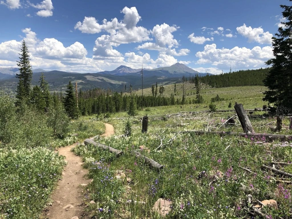 Bengtson’s Pumpkin Farm