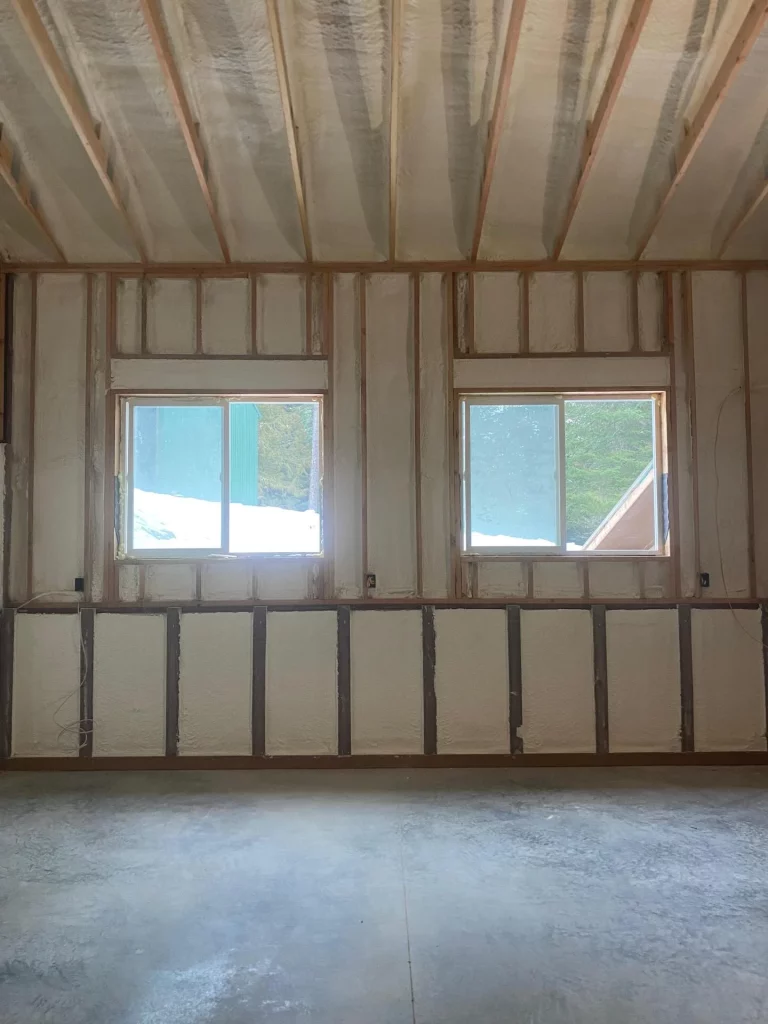 Spray Foam Insulation