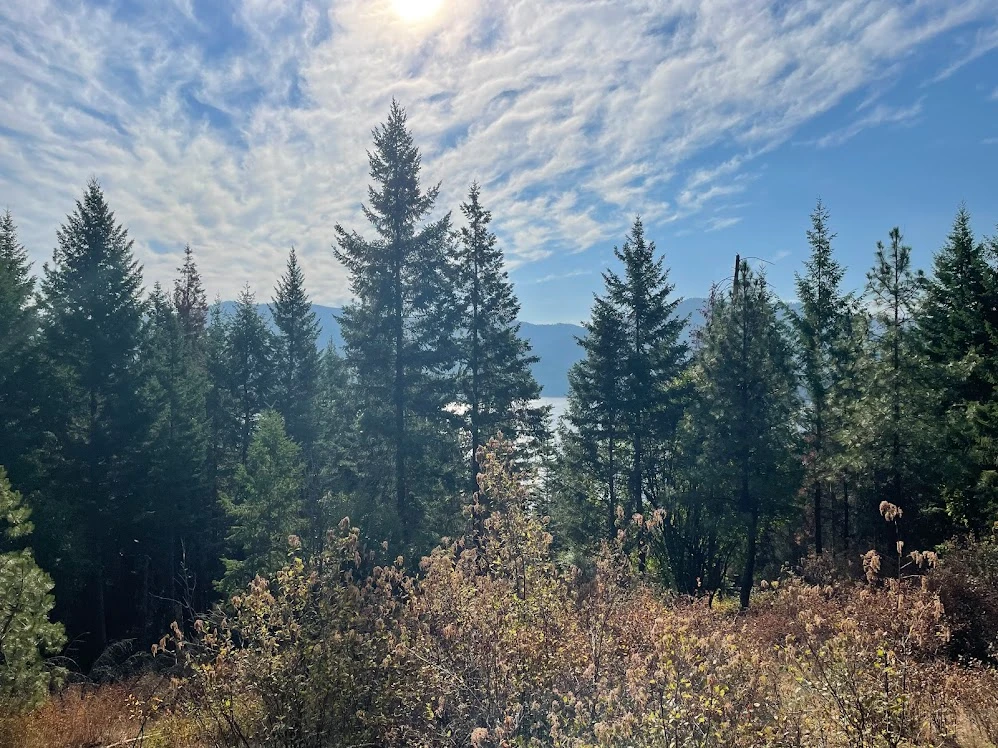 Bengtson’s Pumpkin Farm