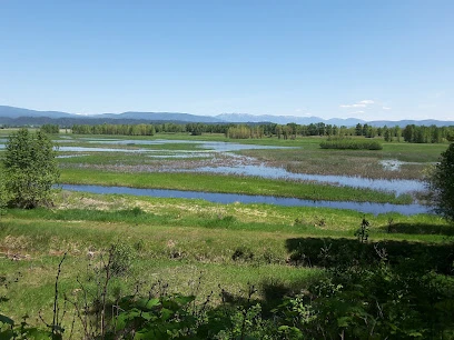 Messenger Marsh